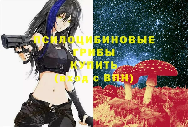 дживик Алзамай