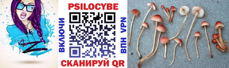 Псилоцибиновые грибы MAGIC MUSHROOMS Ахтырский